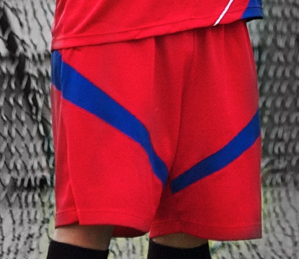 3M 運動快乾短褲