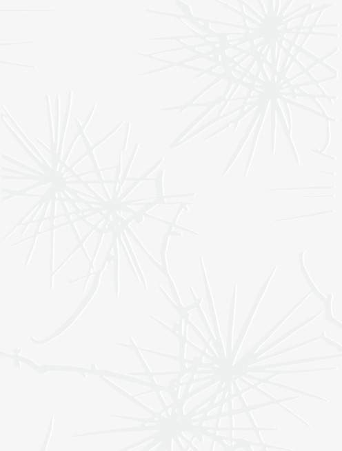 建築陶瓷-III類-內裝壁磚