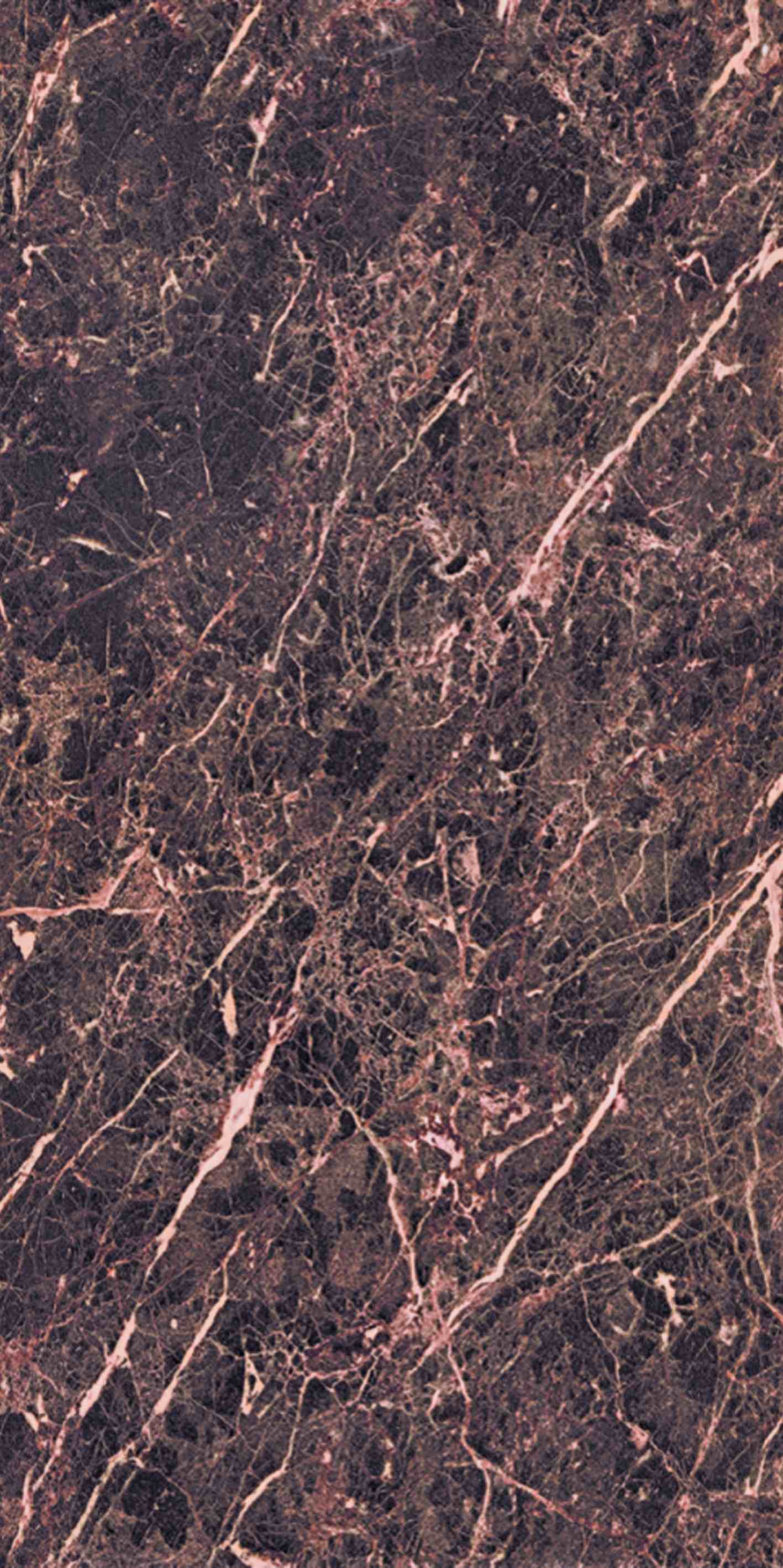 建築陶瓷-III類-內裝壁磚