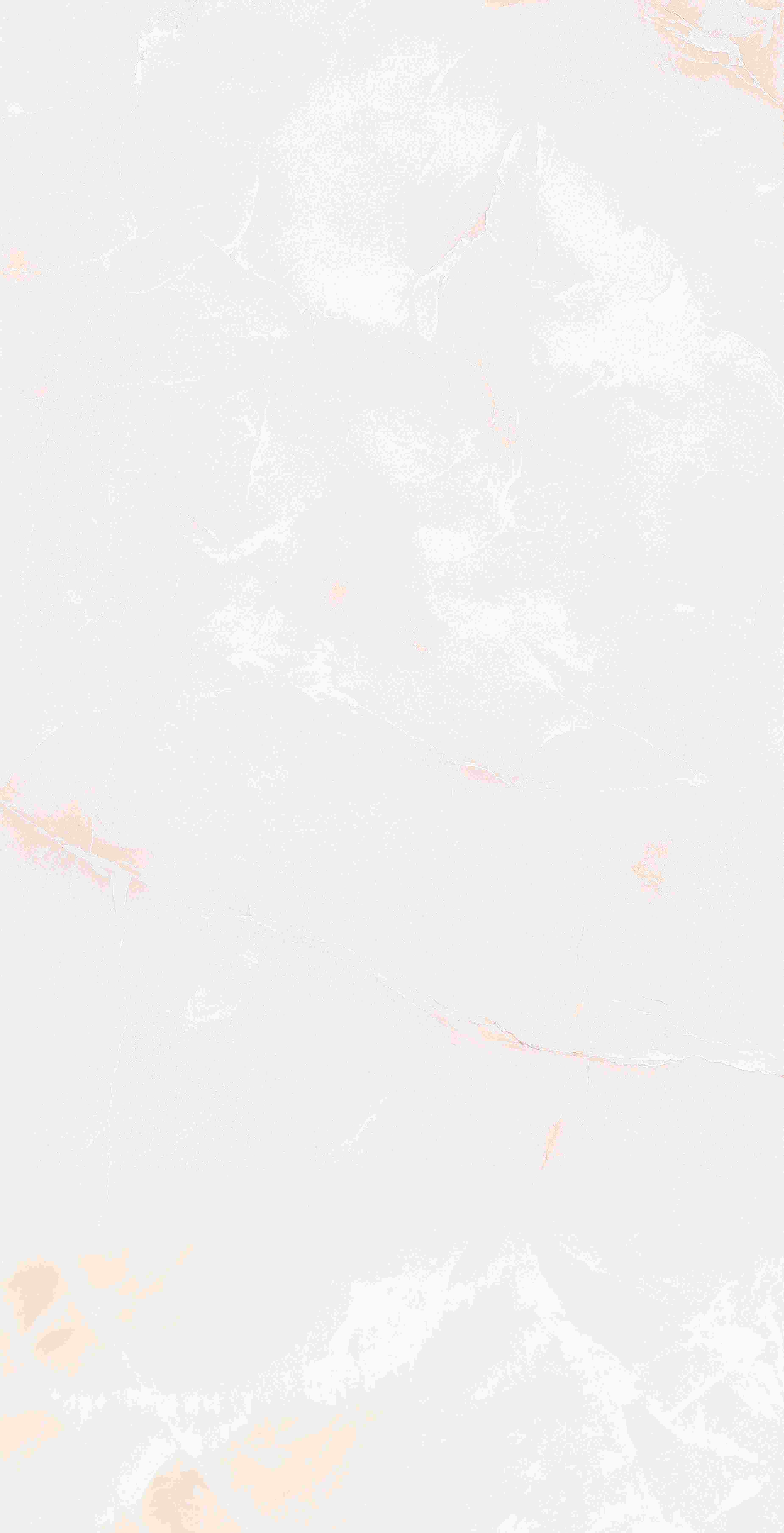 建築陶瓷-III類-內裝壁磚