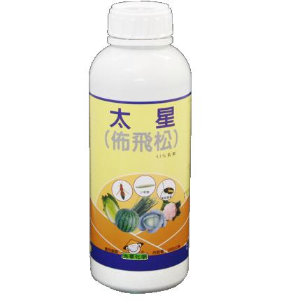 太星