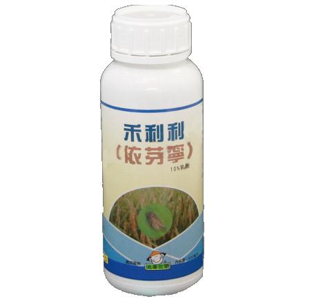 禾利利 