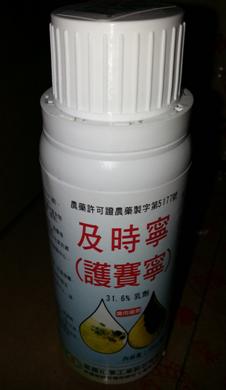 及時寧