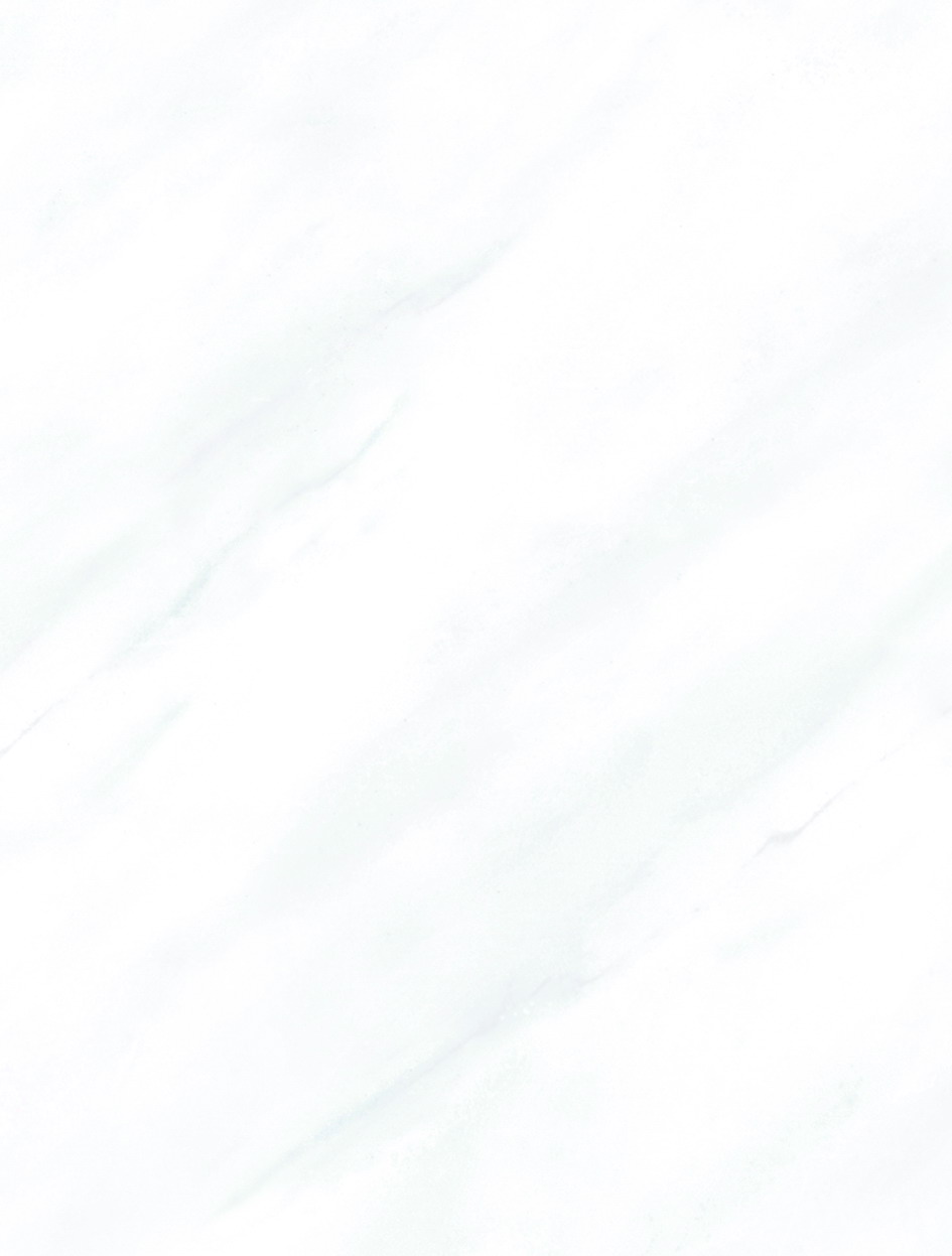 建築陶瓷-III類-內裝壁磚
