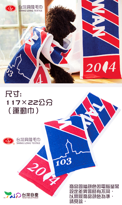 2014國旗運動巾