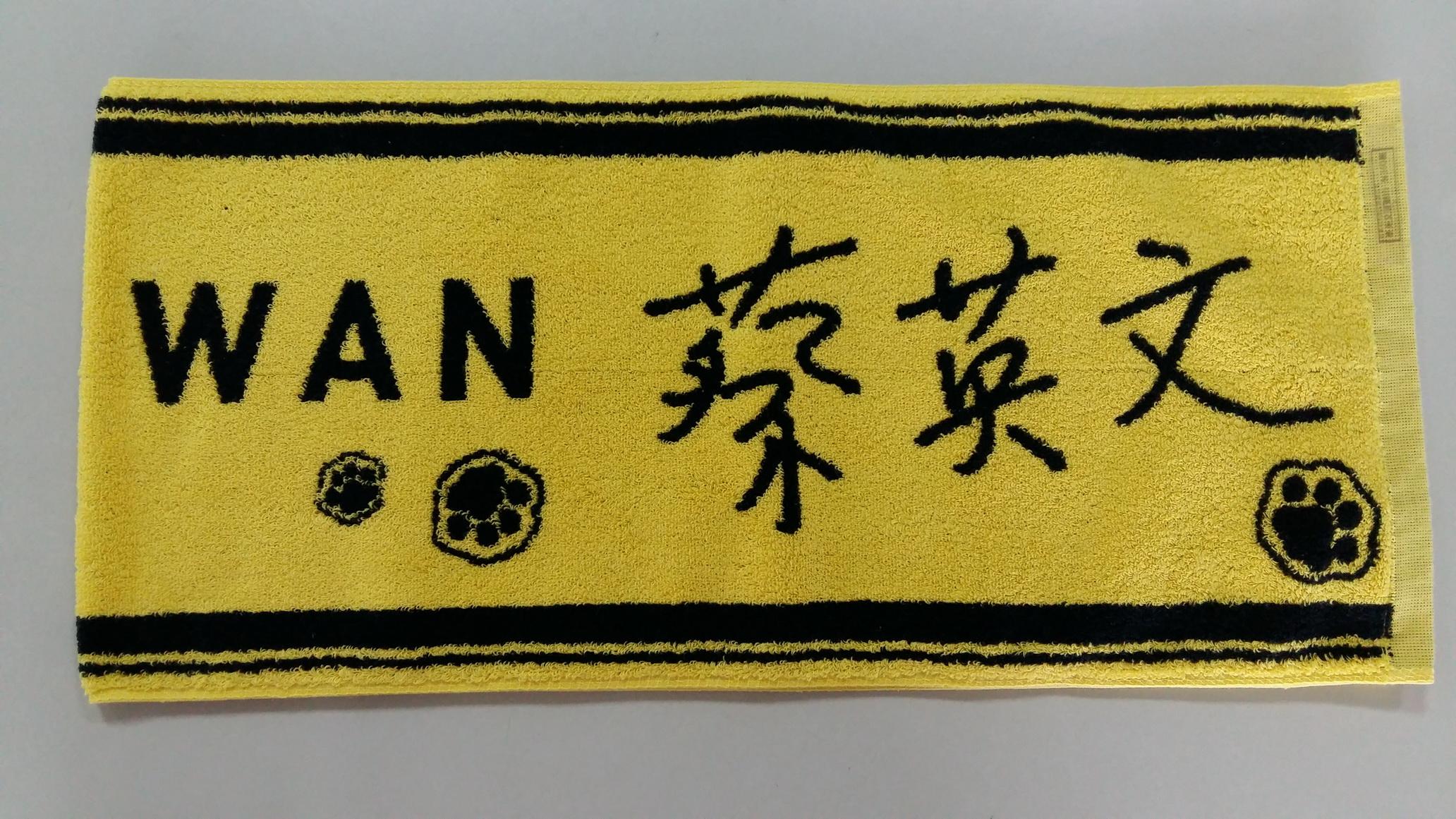 蔡英文運動巾