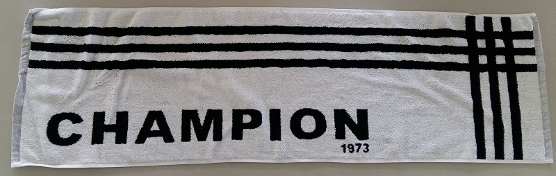 CH2012運動巾