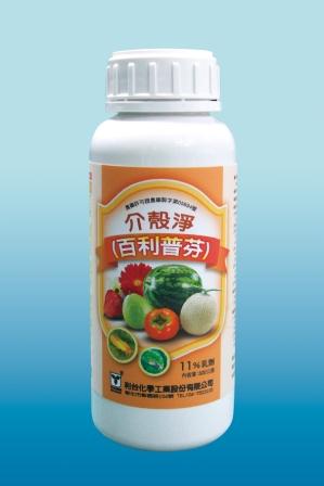 介殼淨