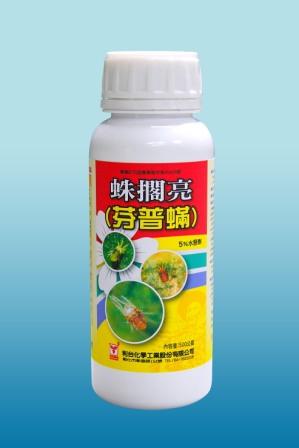 蛛擱亮
