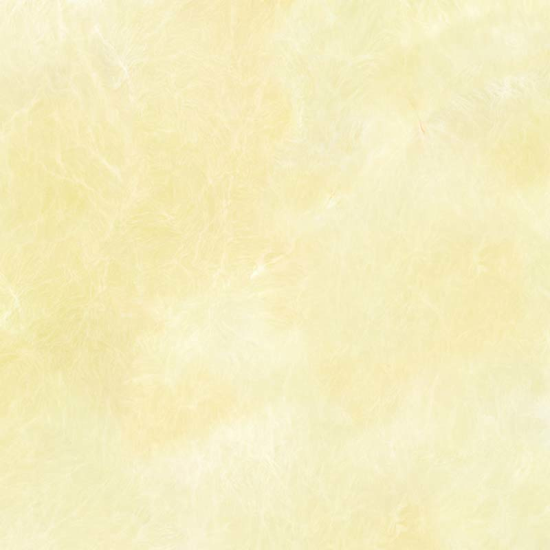 建築陶瓷-I類-內裝地磚