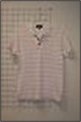 男休閒吸排 POLO