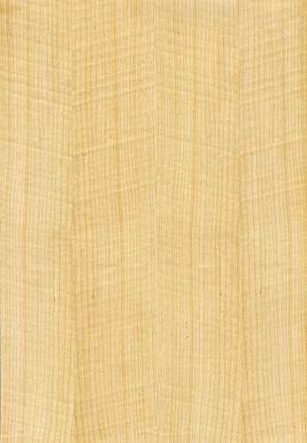 科定塗裝木皮板天然系列