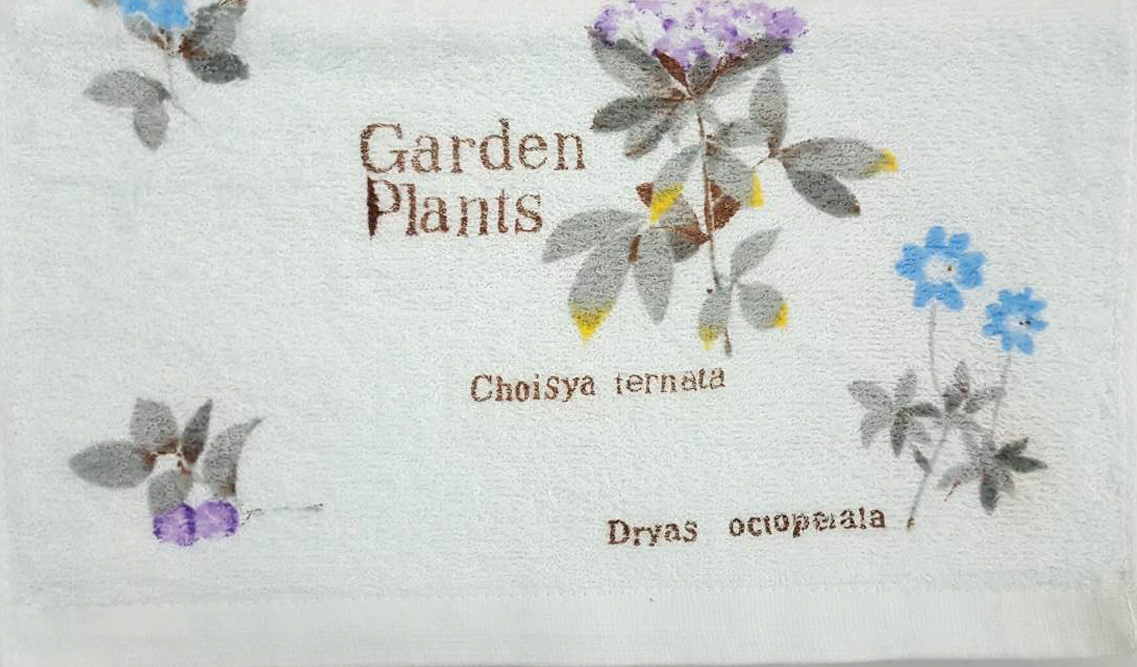 山茶花毛巾