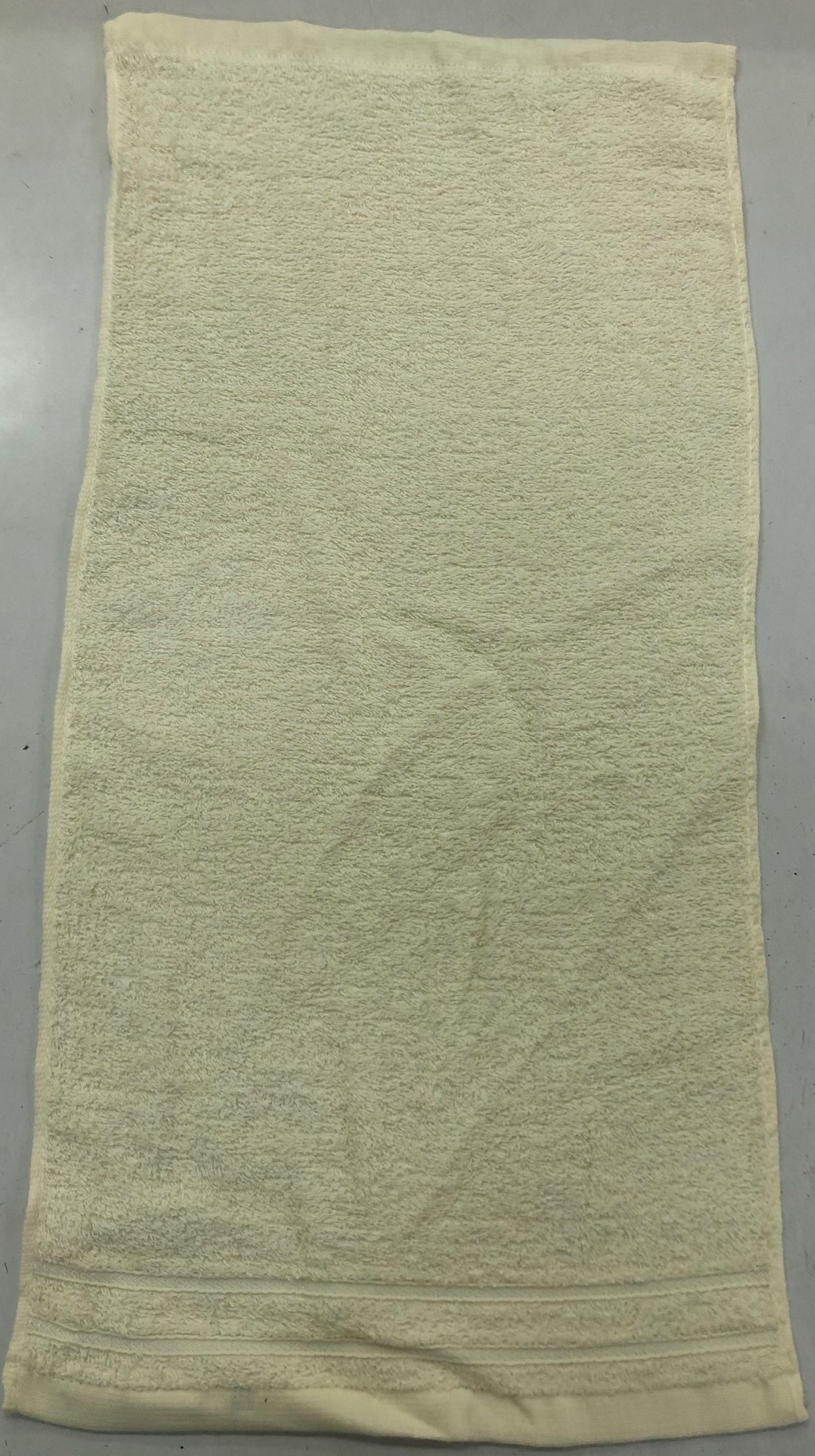 美國棉簡約素色毛巾2入