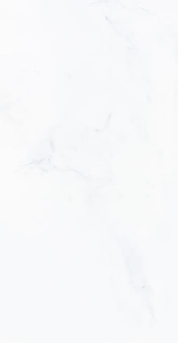 建築陶瓷-III類-內裝壁磚