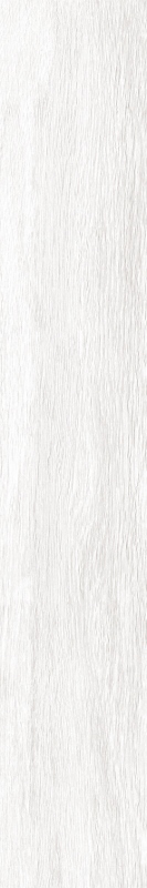 建築陶瓷-I類-內裝壁磚