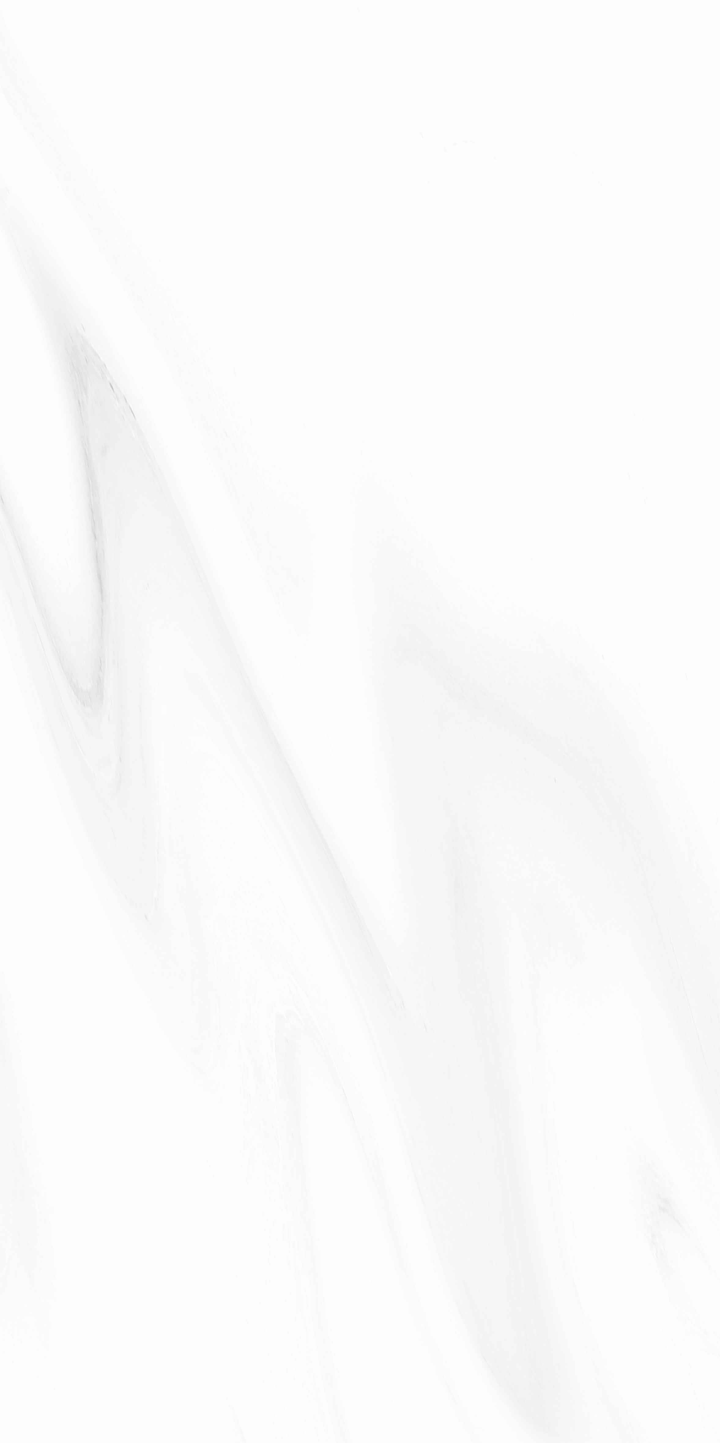 晶化石