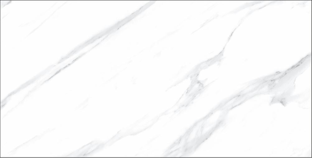 瓷質地磚