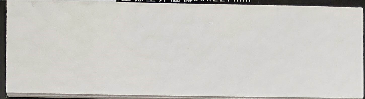 II類-外裝壁磚