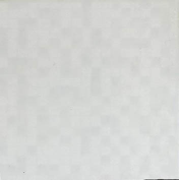 II類-內裝地磚
