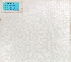 II類-內裝地磚