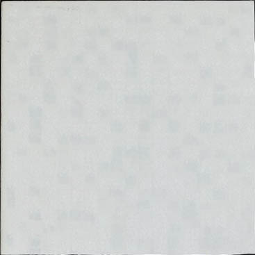 II類-內裝地磚