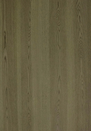 科定特殊合板