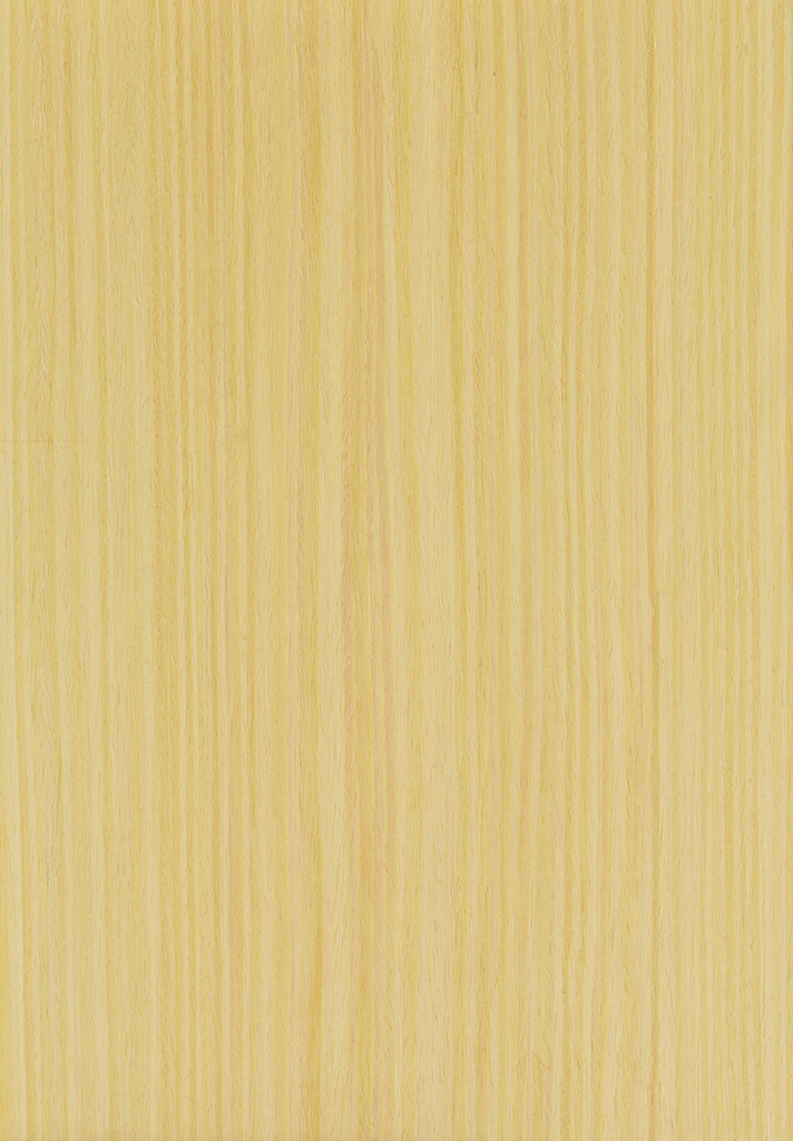 科定特殊合板