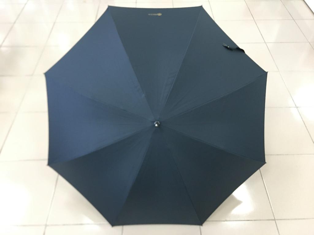 CLASSIC VENTUS經典汎特傘