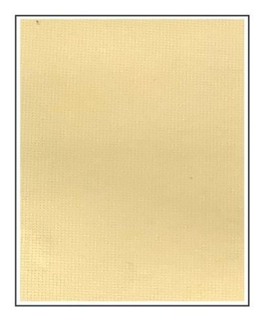 松園素面隔簾