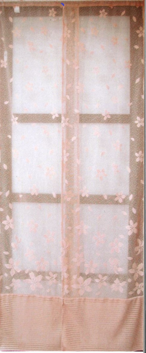 #006 油桐花