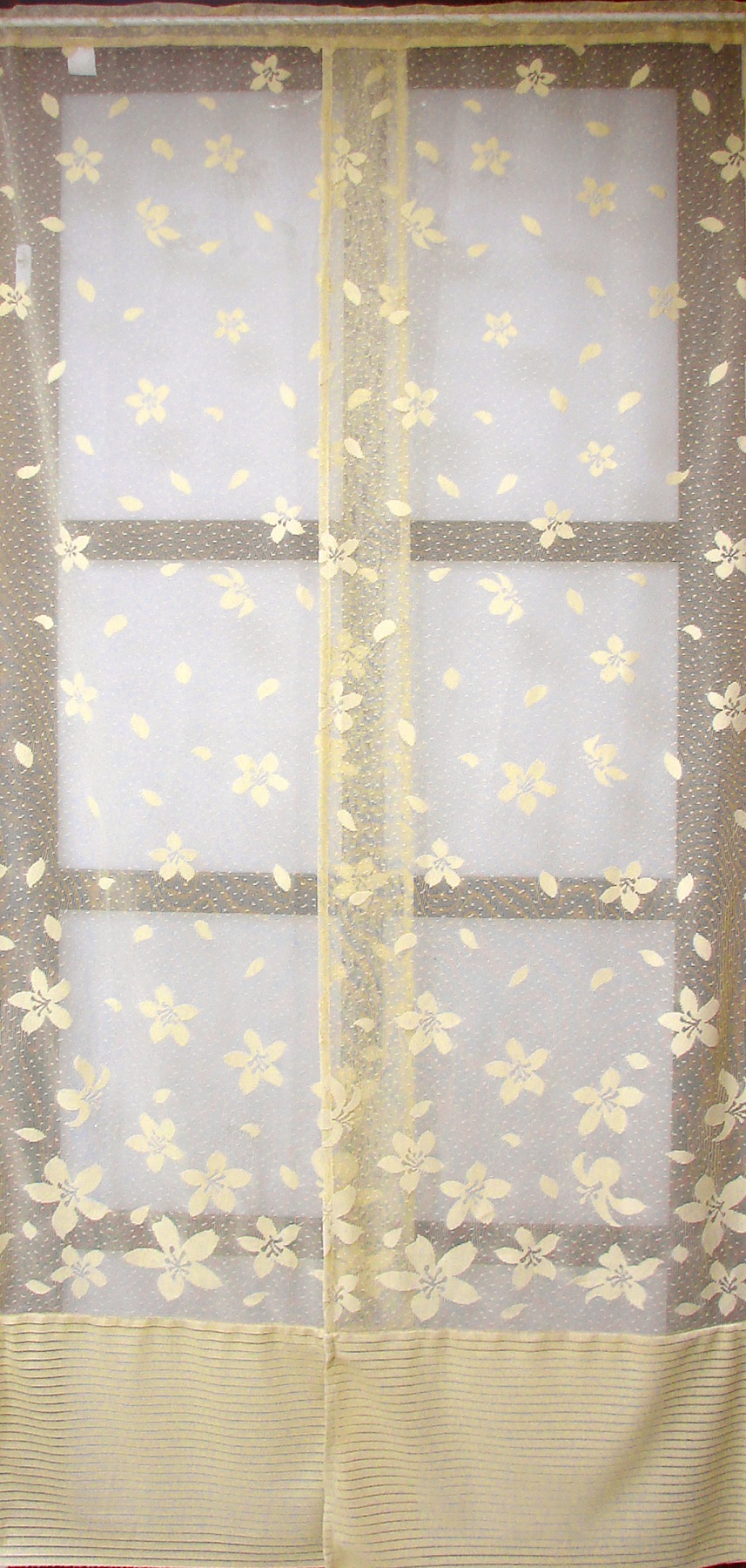 #006 油桐花