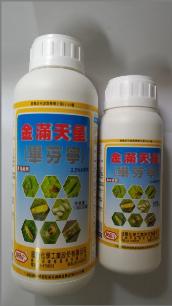 金滿天星