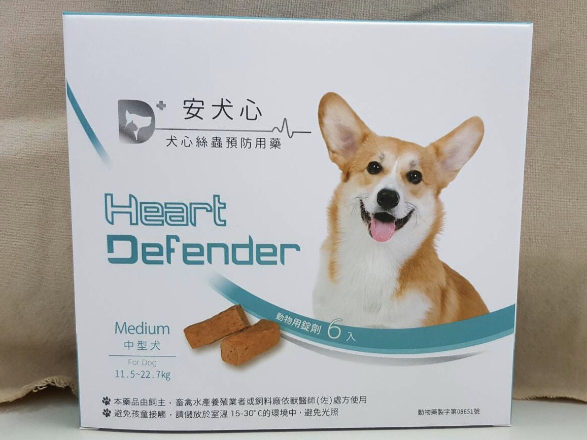 安犬心中型犬