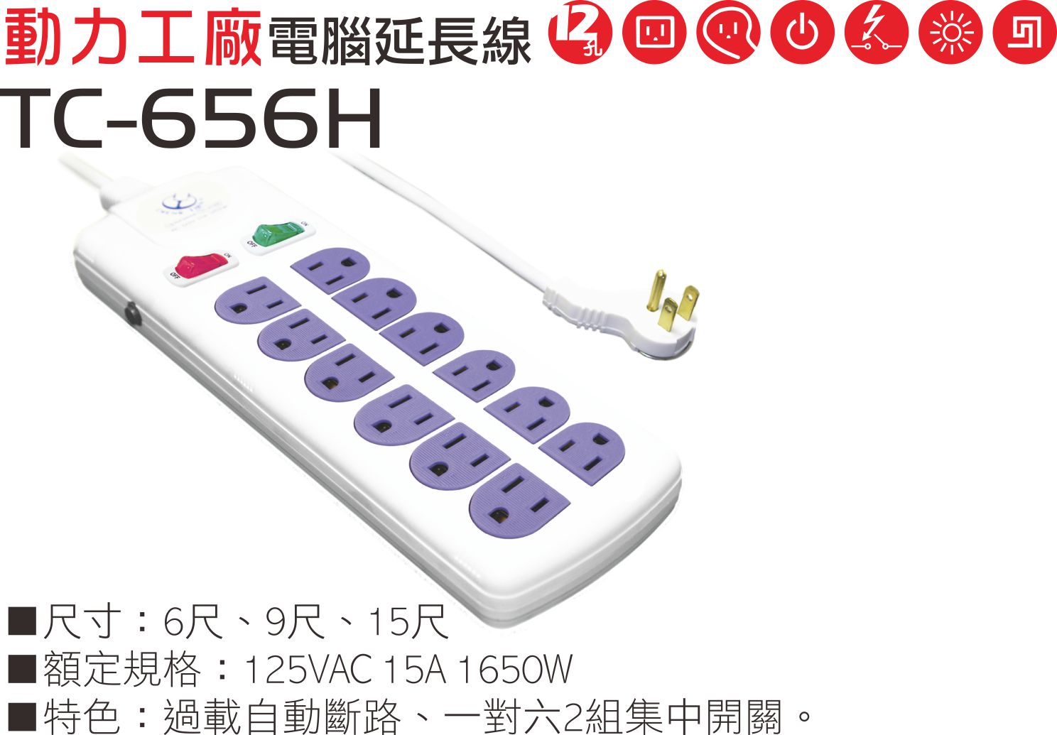 2極接地型125V轉接電源線組