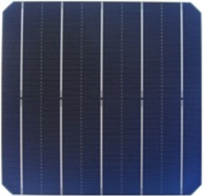 6吋5BB單晶太陽能電池