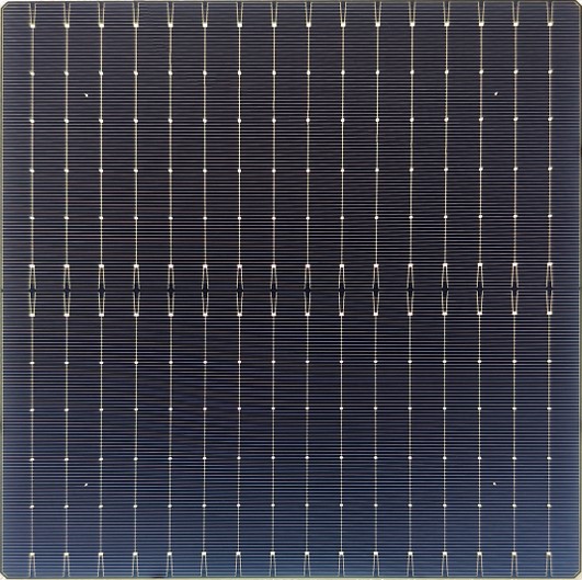 7吋16BB 高效率N型單晶太陽能電池